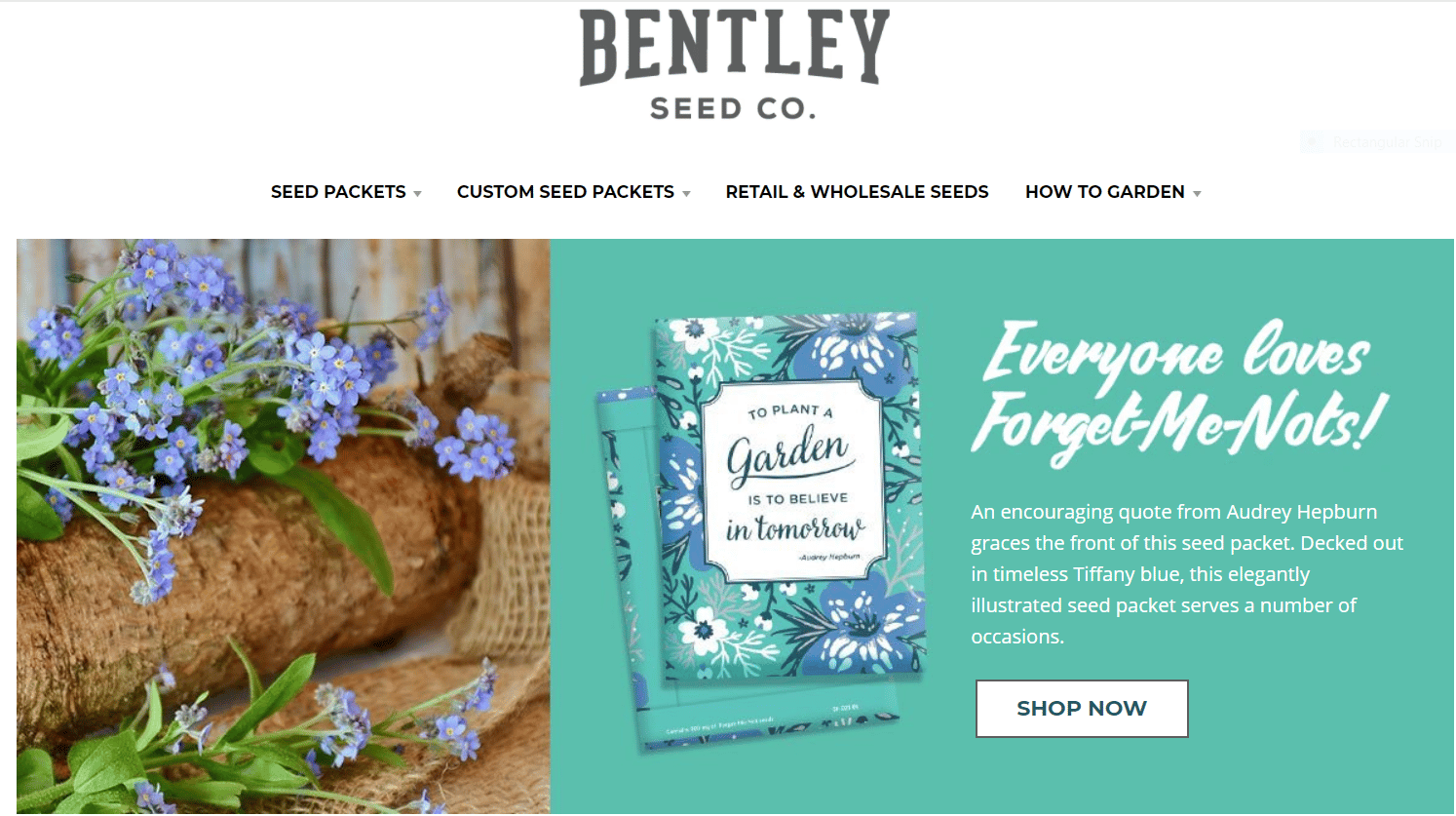 Bentley Seeds