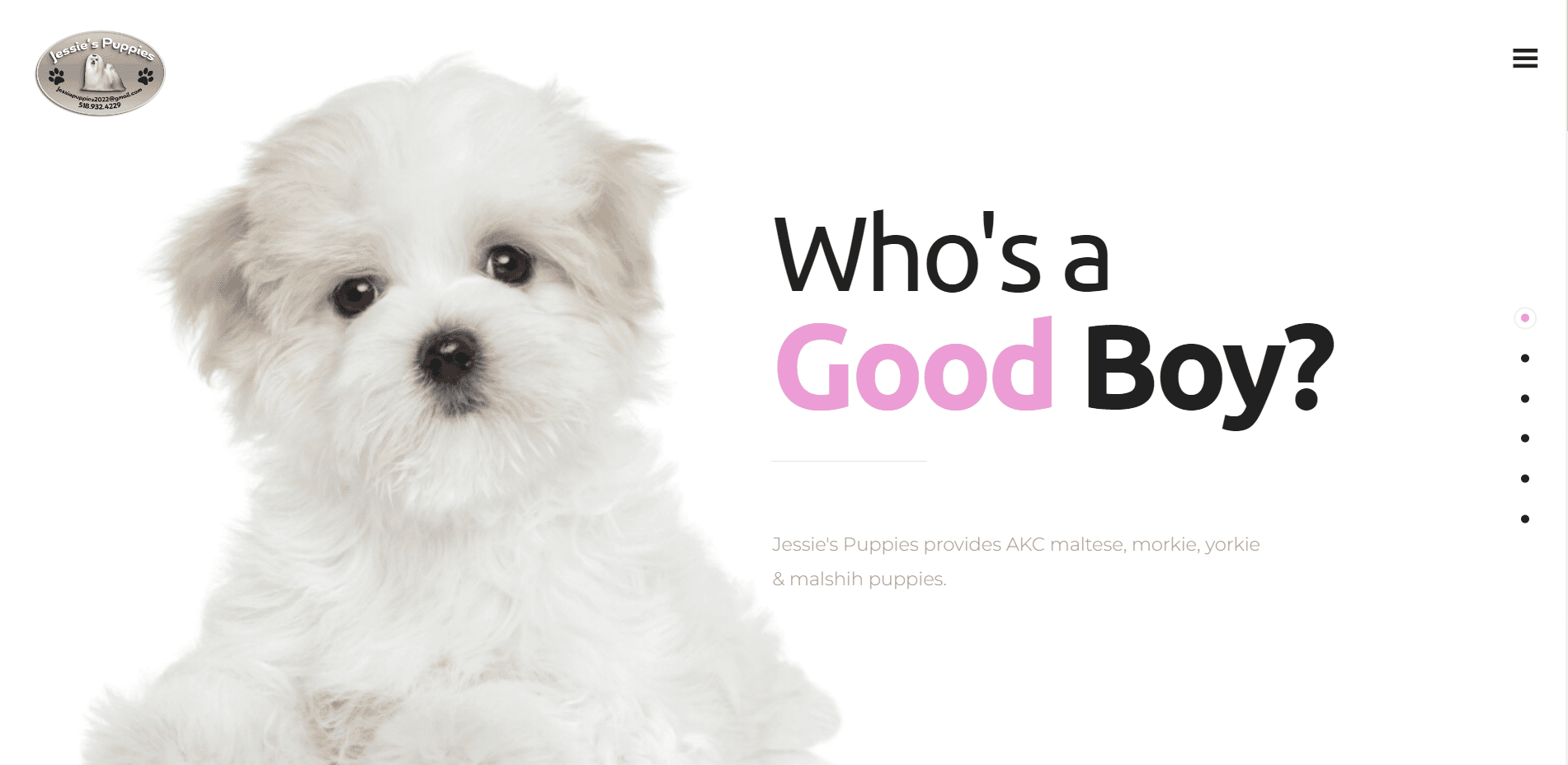 Jessies Puppies - Client of Media Pillars